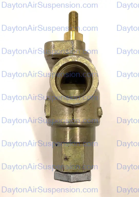 Ridewell Manual Dump Valve - 1230243 Ridewell