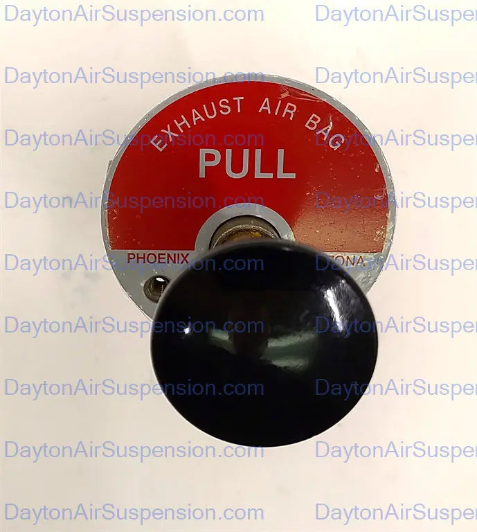 Ridewell Manual Dump Valve - 1230243 Ridewell